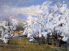 fioritura di ciliegi(cherry blossom) Leonetta Rossi painter