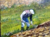 L\'agricoltore  cm 40 x 50 (The farmer) Leonetta Rossi painter
